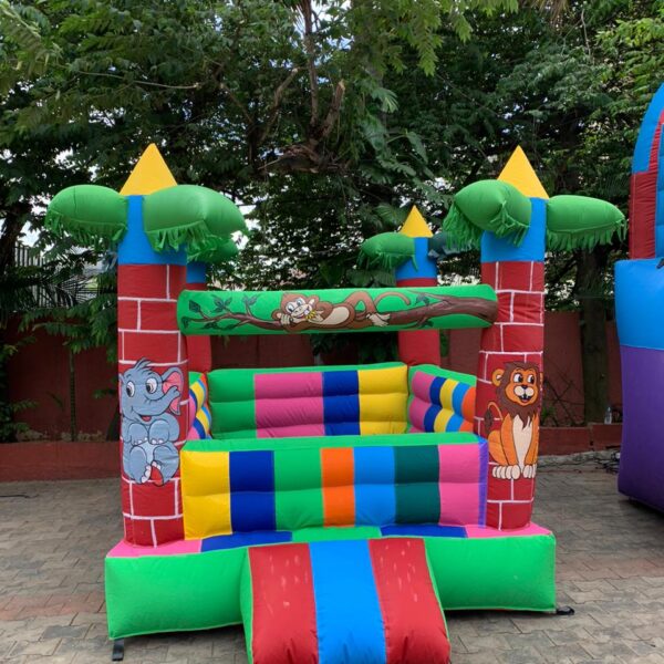 Indoor Mini Bouncy Castle